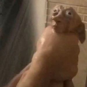 Meet your Posher, Isabella